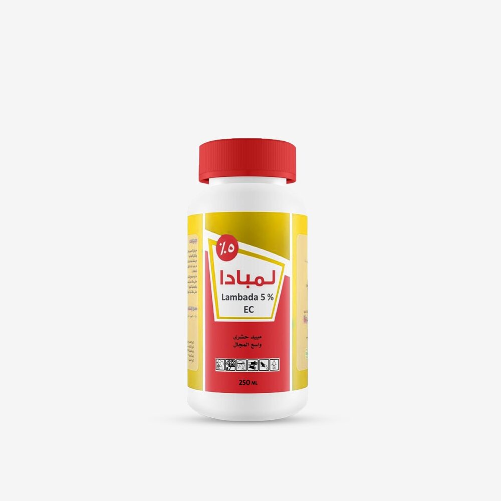 لمبادا 5%